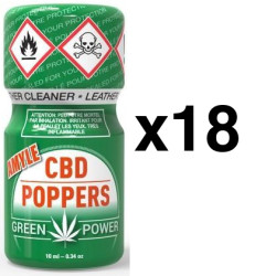 BGP Leather Cleaner CBD AMYLE 10ml x18